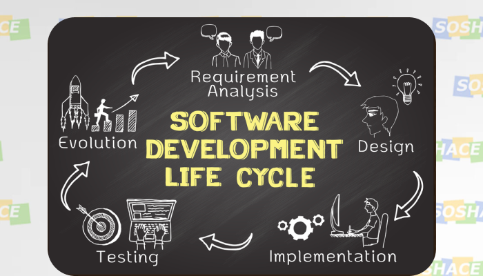 Software Development Cycle