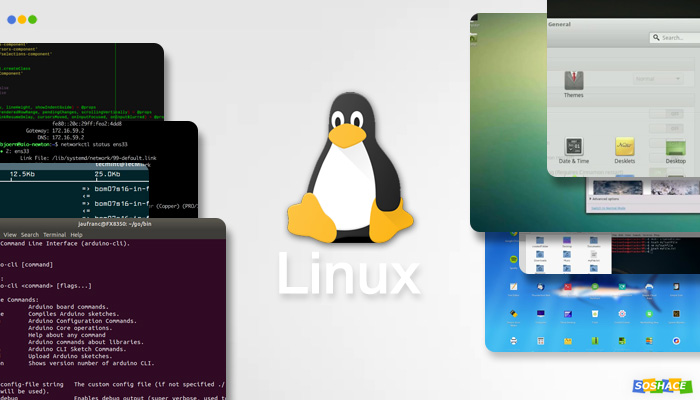 Windows linux mac osx и androidos все это примеры