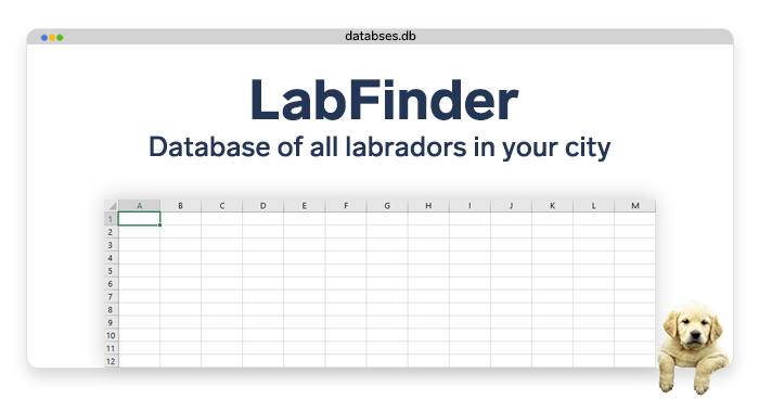 mockup image of a database interface