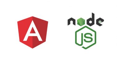 JSON WEB Authentication with Angular 8 and NodeJS