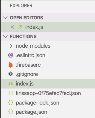 Firebase CLI project