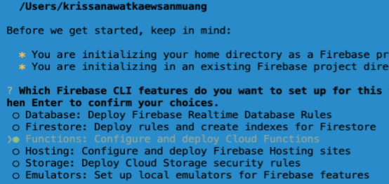 Setup Firebase function