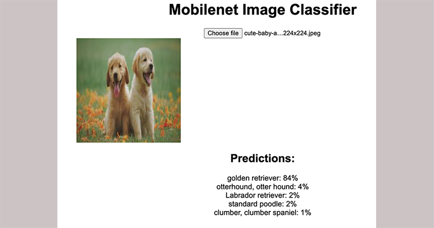 Output from image classifier