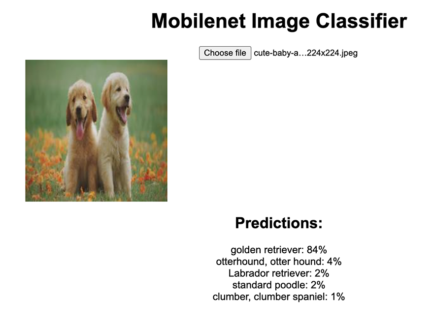 Output from image classifier