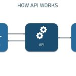 Comprehensive Guide to Utilizing APIs in Programming