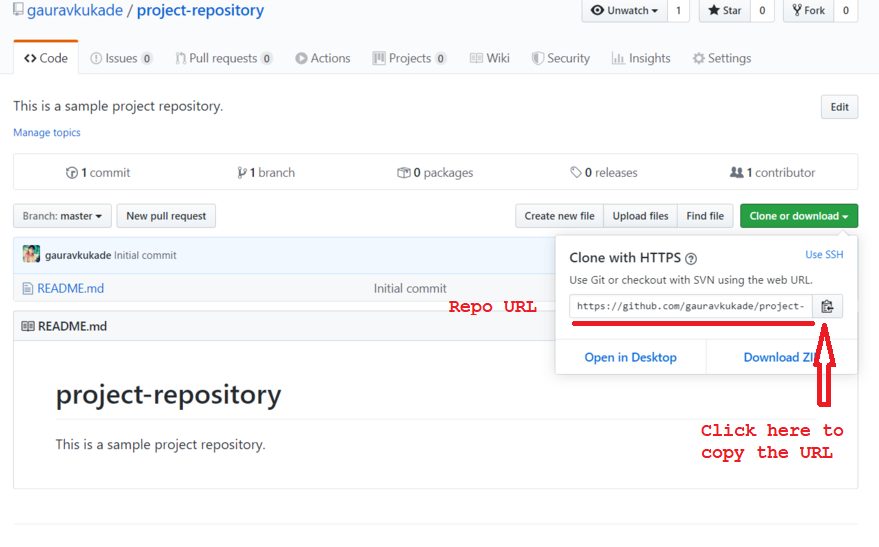 Showing the GitHub repository URL