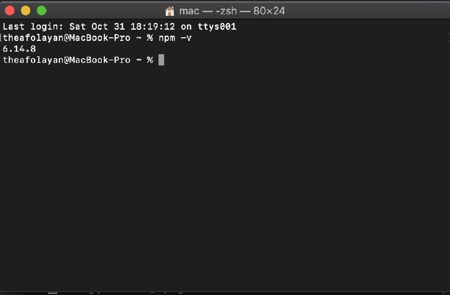 The output of running npm -v 