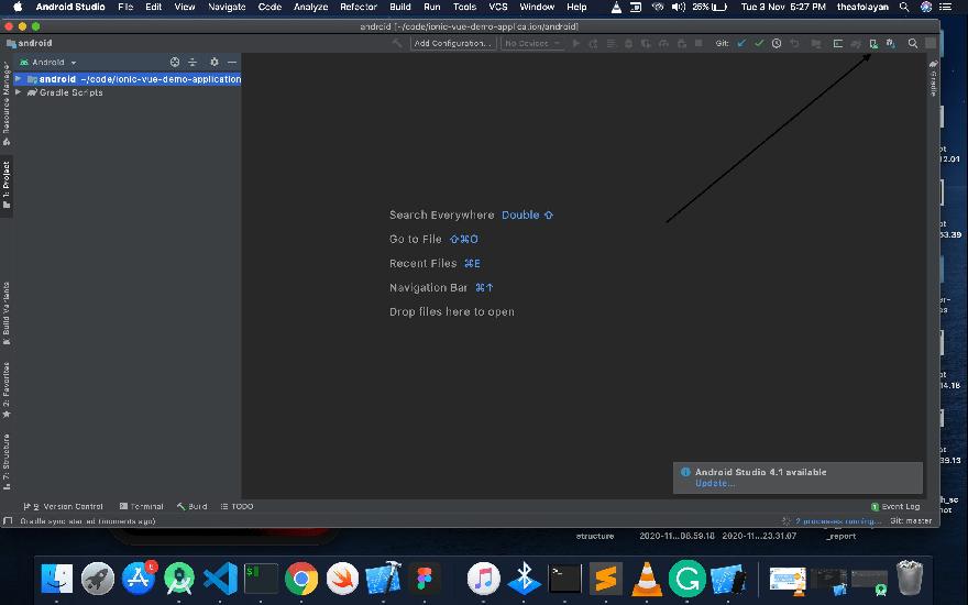 Previewing your Ionic Vue app in Android studio 