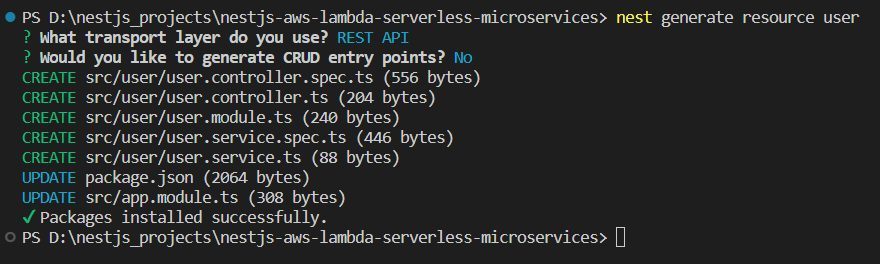 The command nest generate resource user sets up the basic structure for the User module